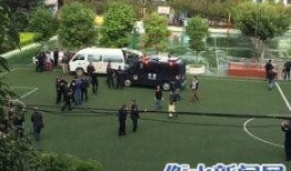 昆明小学爆料最新消息新闻,揭秘校园事件背后的真相