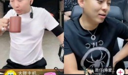 胜仔爆料舞帝利哥聊天视频,精彩对话内容大曝光